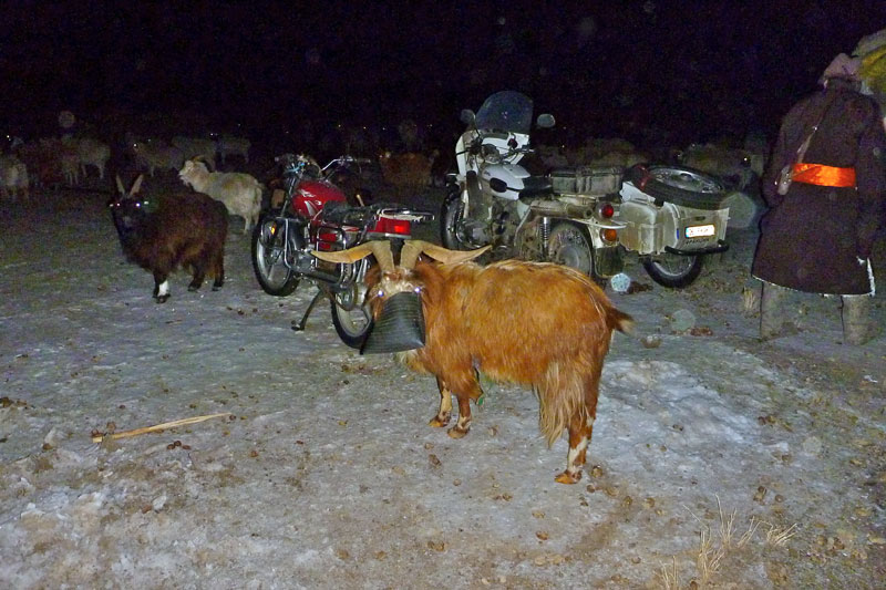 Mongolie